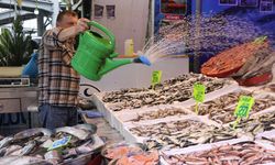 Rize'de istavritin kilogramı 200 liradan satılıyor