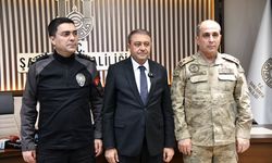 Şanlıurfa'da 31 bin 409 sahipsiz hayvan toplatıldı