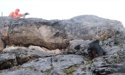 Sivas'ta kayalıklarda mahsur kalan keçi kurtarıldı