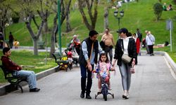 Tahran'da savaşın gölgesinde 'Tabiat Günü' kutlandı