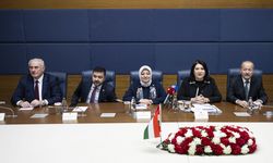 TBMM Dilekçe Komisyonu Başkanı Karamık, Macaristan Anayasa Mahkemesi Üyesi Kozma ile görüştü