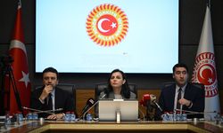 TBMM Suça Sürüklenen Çocuklara İlişkin Araştırma Komisyonu toplandı