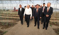 TDT Aksakallar Konseyi Başkanı Yıldırım, Erzincan'daki Toplu Sera Bölgesi'nde incelemelerde bulundu