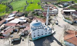 Tekirdağ'da leylekler 11 yıldır cami kubbesine yuva yapıyor