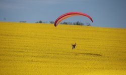Tekirdağ'da paramotorla kanola tarlası üzerinde uçuş yapıldı