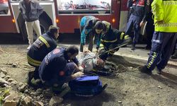 Tekirdağ'da uçurumdan deniz kenarına düşen otomobildeki 3 kişi yaralandı