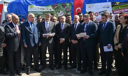 Van'da çiftçilere 4 yılda 4 milyon 552 bin meyve fidanı dağıtıldı