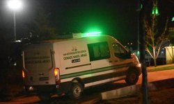 Van'da sahipsiz köpeklerin saldırısı sonucu bir çocuk hayatını kaybetti, bir çocuk yaralandı