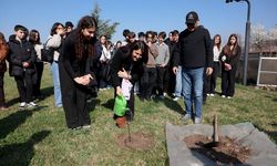 Yürüyen Köşk'ün simgesi çınardan klonlama yöntemiyle elde edilen fide, Anıtkabir'de toprakla buluştu