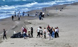 Adana'da Akyatan Yaban Hayatı Geliştirme Sahası'ndaki çöpler temizlendi