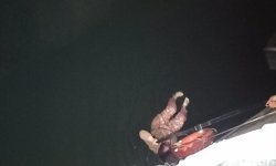 Adana'da nehre düşen kadını itfaiye kurtardı