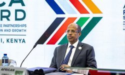 Afrika Birliği'nden BM Güvenlik Konseyinde reform çağrısı