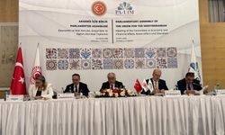 AİBPA Ekonomik ve Mali Konular, Sosyal İşler ve Eğitim Komitesi İstanbul'da toplandı