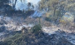 Antalya'da otluk alanda çıkan yangın ormana sıçradı