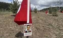 Ardahan'da şehit ve gazilerin hatıraları fidanlarla yaşatılacak