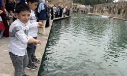 Balıklıgöl'de bahar yoğunluğu yaşanıyor