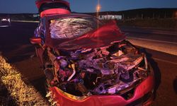 Bingöl'de ineğe çarpan otomobildeki 1 kişi yaralandı