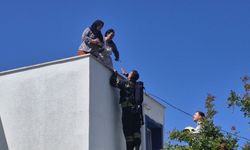 Bodrum'da binada çıkan yangında mahsur kalan 2 kişi kurtarıldı