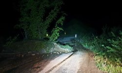Bursa'da heyelan nedeniyle köy yoluna ağaçlar ve toprak yığınları düştü