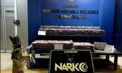 Çankırı'da araçlarında 85 bin uyuşturucu hap bulunan 2 zanlı tutuklandı