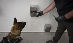 Dedektör köpek 'Axel' suçluların gizlediği dijital delilleri buluyor