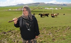 Devlet desteğiyle besiciliğe başlayan Muşlu kadın, hayvan sayısını artırmak istiyor
