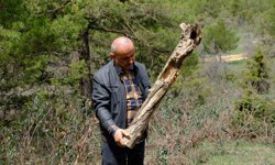 Doğadan topladığı ağaç parçalarını dekoratif ürünlere dönüştürüyor