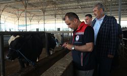 Edirne'de kurbanlık satış alanları denetlendi
