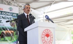 Edirne'de meralar yüksek verim hedefiyle ıslah ediliyor