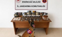 Erzincan'da DEAŞ ve narkotik operasyonlarında 18 zanlı tutuklandı