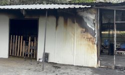 Eyüpsultan'da adak kurban satış merkezinde çıkan yangında 1 kişi öldü