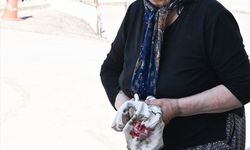 Gaziantep ve çevre illerde 'acemi kasaplar' hastaneye başvurdu