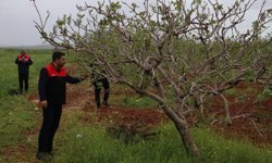 Gaziantep'te etkili olan sağanak ve fırtına sonrası 90 kırsal mahallede tarım arazileri zarar gördü