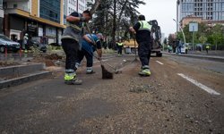 GÜNCELLEME - Ankara'da şiddetli rüzgarda devrilen ağaçlar nedeniyle 2 araç hasar gördü