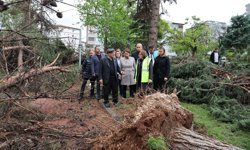 GÜNCELLEME - Gaziantep'te fırtınanın verdiği hasar gün aydınlanınca ortaya çıktı
