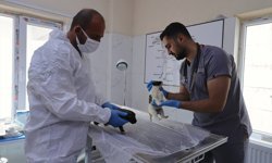 Hakkari'de sahipsiz köpekler belediyenin yaptığı merkezde koruma altında tutuluyor