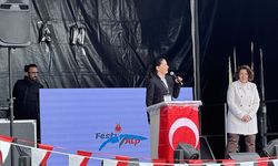 İsviçre ve Fransa'da yaşayan binlerce Türk vatandaşı festivalde buluştu