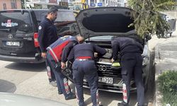 İtfaiyenin kurtarmaya çalıştığı kedi yavrusunu annesi uzaklaştırdı