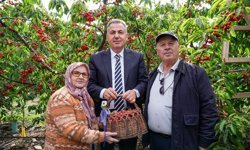 İzmir'de sezonun ilk kiraz ihracatı yapıldı
