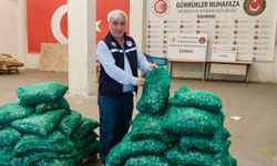 Kapıkule'de 760 kilogram kum midyesi ele geçirildi