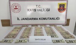 Kars'ta Kurban Bayramı öncesi sahte 51 bin 400 dolar ele geçirildi