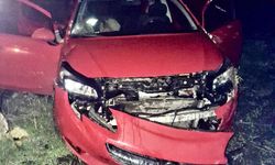 Kars'ta şarampole devrilen otomobildeki 5 kişi yaralandı