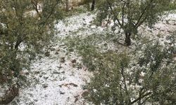 Manisa'da şiddetli sağanak ve dolu hayatı olumsuz etkiledi