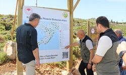 Marmaris'te 'Karia Yolu ve Phoenix Ekoturizm Alanı' kuruluyor