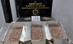Mersin'de uyuşturucu operasyonunda 317 bin 285 sentetik ecza hapı ele geçirildi