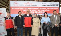 Muş'ta 170 kadın çiftçiye 3 bin 400 küçükbaş hayvan dağıtılmaya başlandı