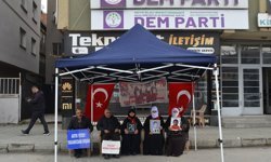Muş'ta aileler, DEM Parti İl Binası önündeki eylemlerini sürdürdü