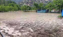 Nallıhan'da sağanağın ardından çayın taşması sonucu bazı bahçeleri su bastı