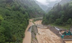 Ordu ve Giresun'da yağış etkili oldu