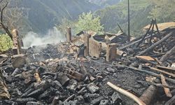 Rize'de iki ev çıkan yangında hasar gördü